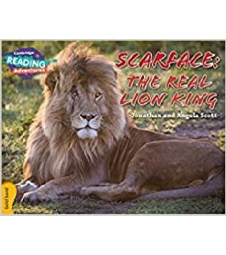 Cambridge Gold Scarface The Real Lion King  - SchoolChamp.net