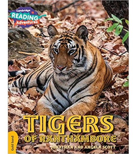 Cambridge Gold Tigers of Ranthambore  - SchoolChamp.net