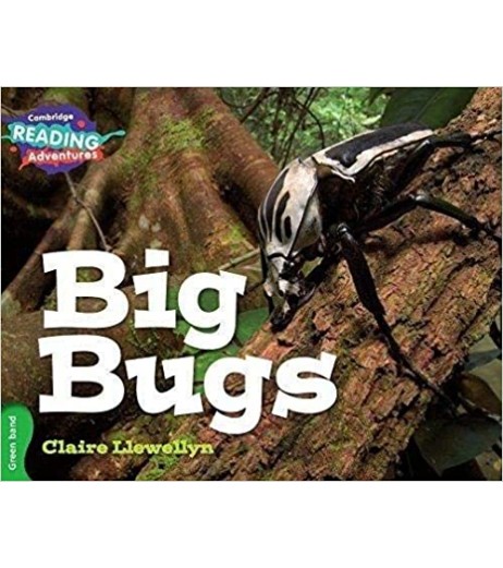 Cambridge Green Big Bugs  - SchoolChamp.net