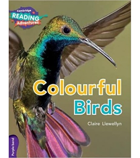 Cambridge Purple Colourful Birds   - SchoolChamp.net