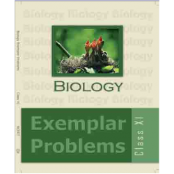 NCERT Biology Exemplar Problem for Class 11