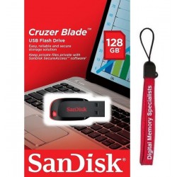 Sandisk 128GB Plastic USB 2.0 flash drive