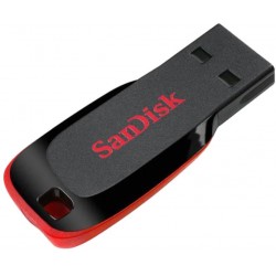 Sandisk 8GB Plastic USB 2.0 flash drive