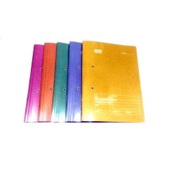 Laminated cobra file  Pack of 5 Multicolour